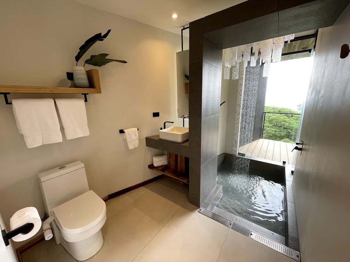 Hair dryer, bidet, towels, soap