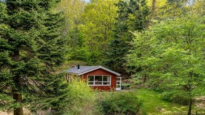 A small red cabin surrounded by dense forest.