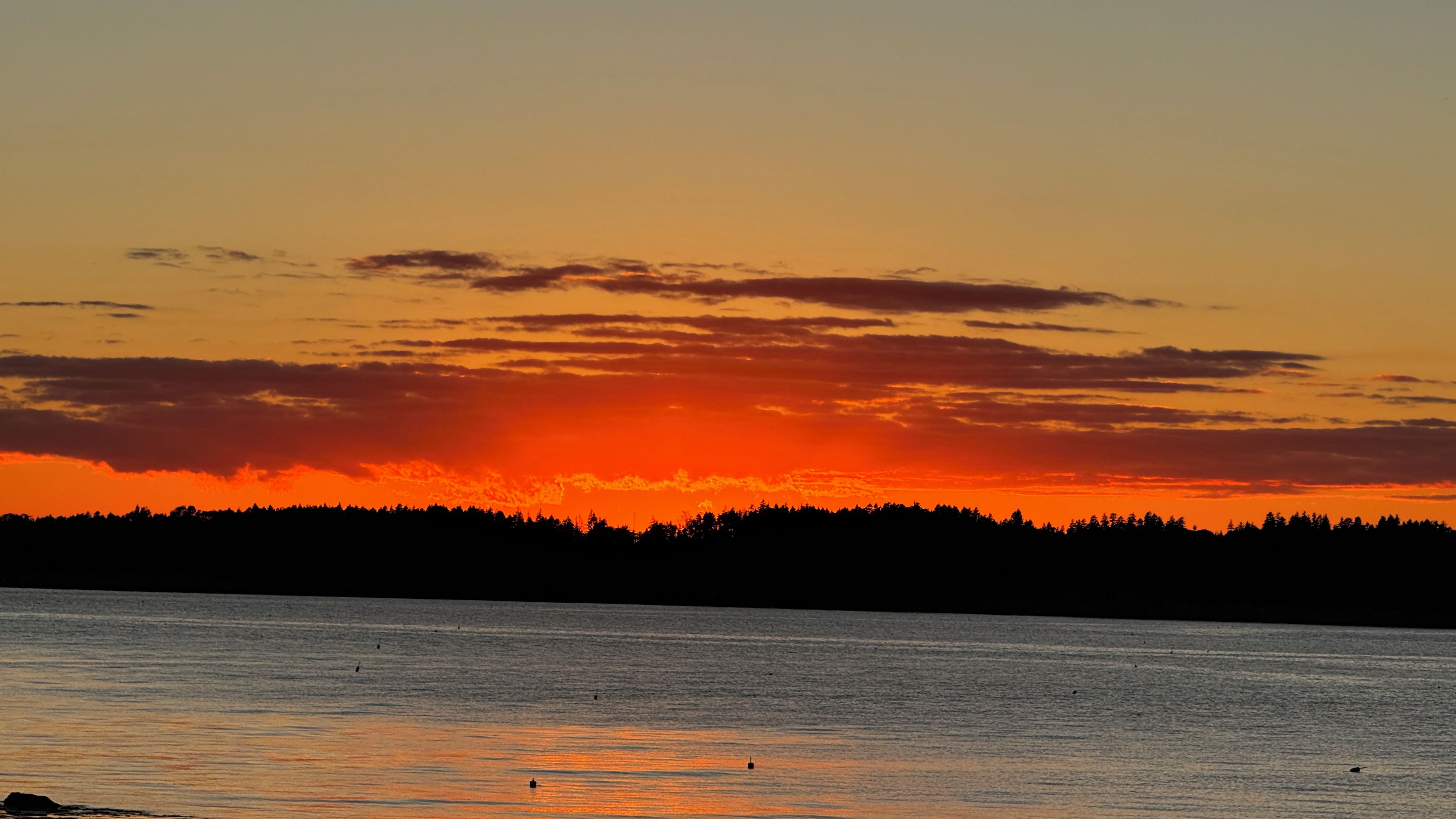 A sunset over a body of water with a silhouette of trees in the distance.