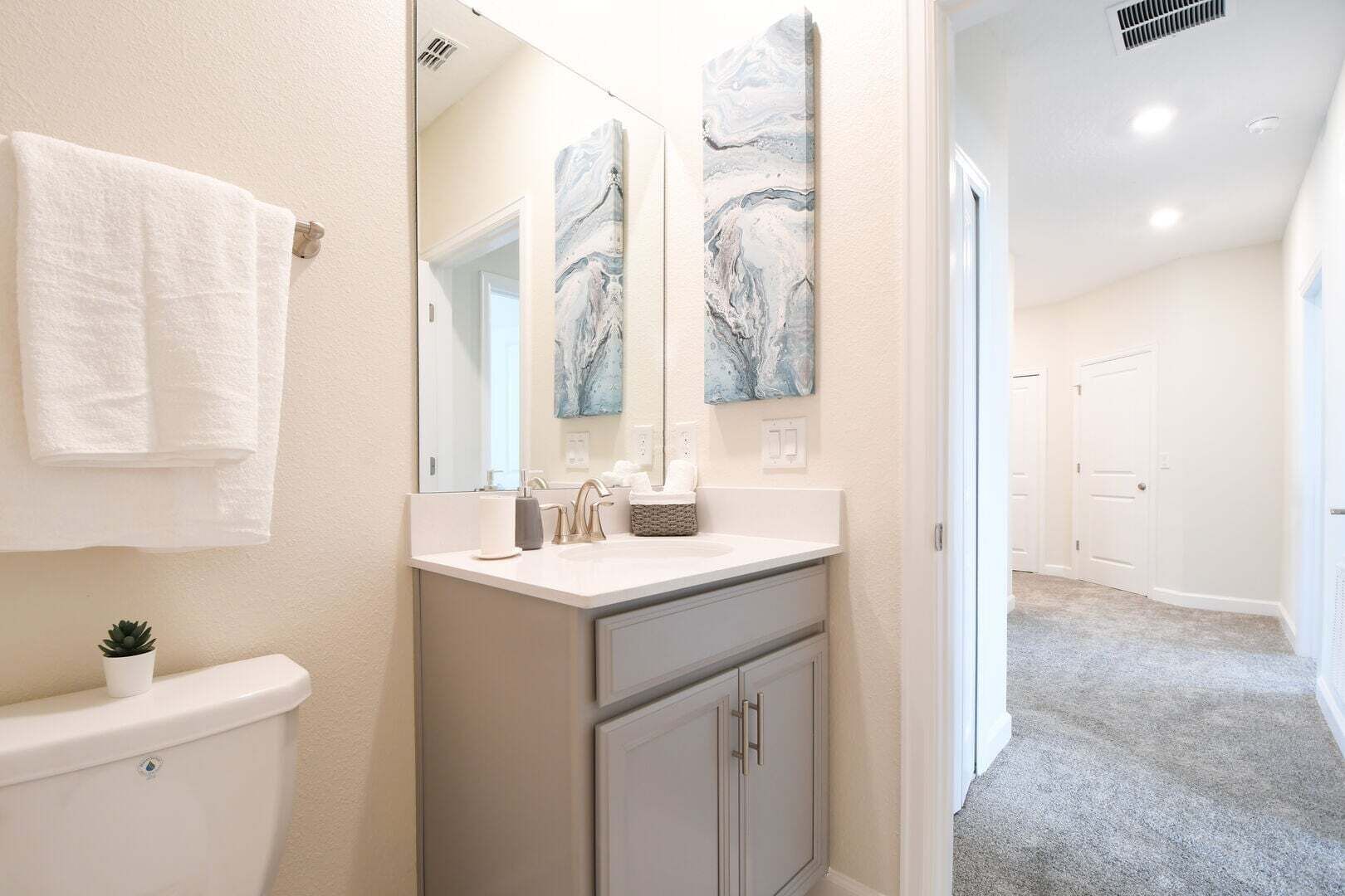 A bathroom with a white sink, a mirror, and marble wall art.