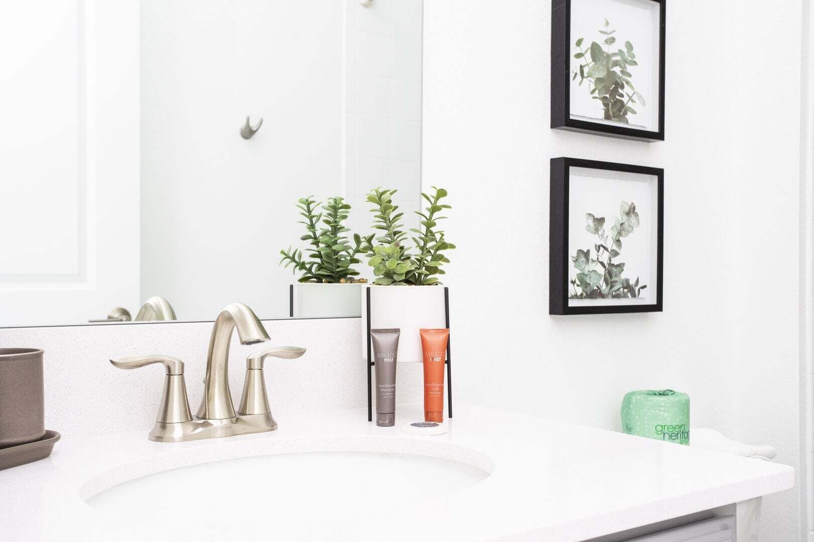 A bathroom with a white sink, two faucets, a mirror, framed artwork, and potted plants.