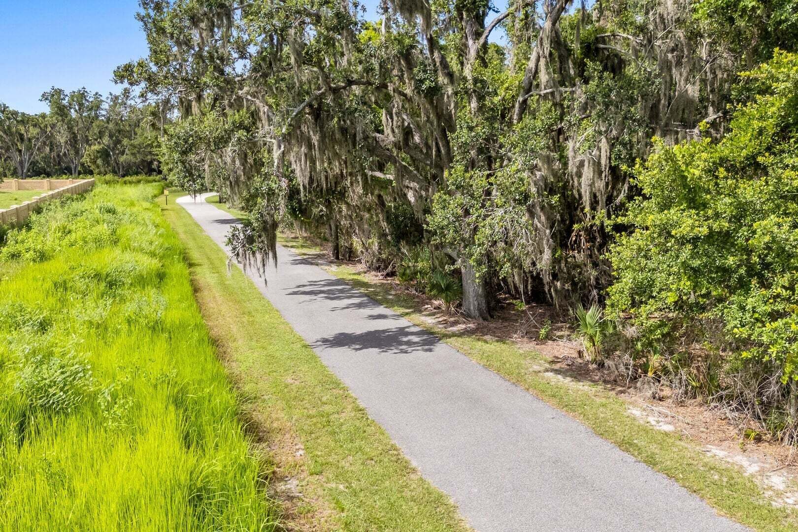 A paved pathway flanked by lush greenery and trees with Spanish moss.