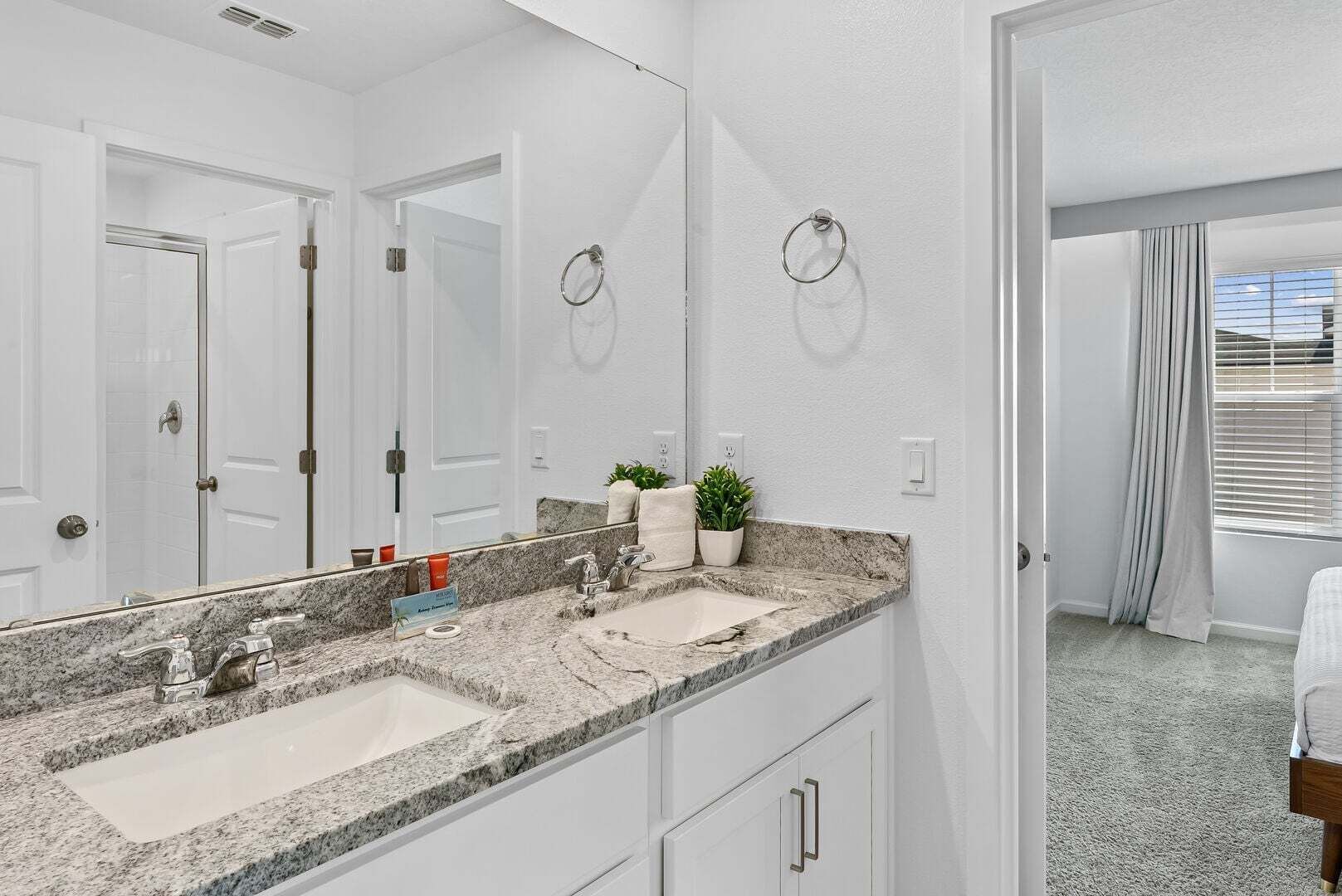 A bathroom with two sinks, a large mirror, and a potted plant.