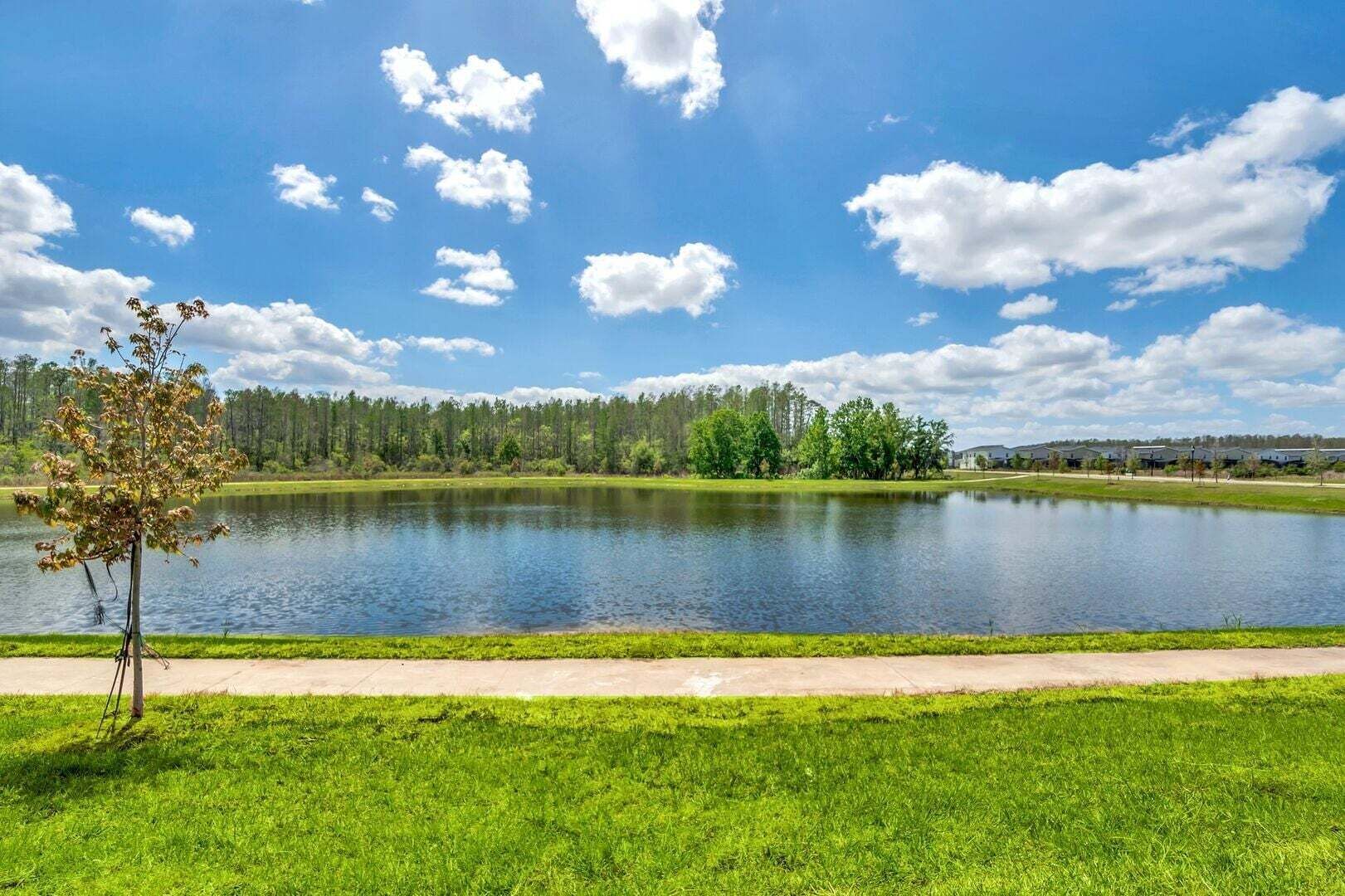 A serene lake with a clear sky, a grassy foreground, and a row of buildings in the background.