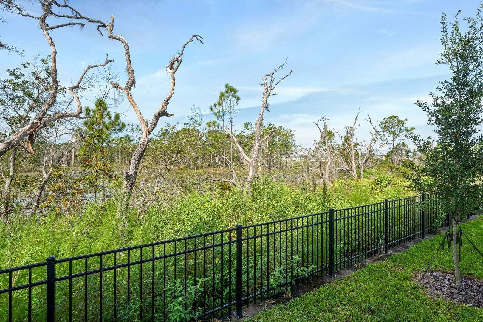 A fenced outdoor area with trees and greenery.