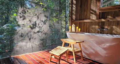 Back to nature rainforest retreat, in the centre of the Sunshine Coast Region.