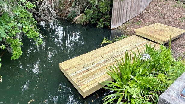 A wooden deck over a body of water, surrounded by dense vegetation and a wooden fence. - Waterfront Canal/Park Your Boat (Homosassa)