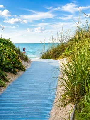 A coastal pathway leading to the sea with a blue mat, greenery, and a signboard.