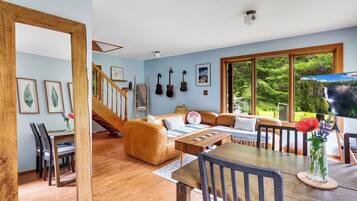 Smart TV, fireplace, books