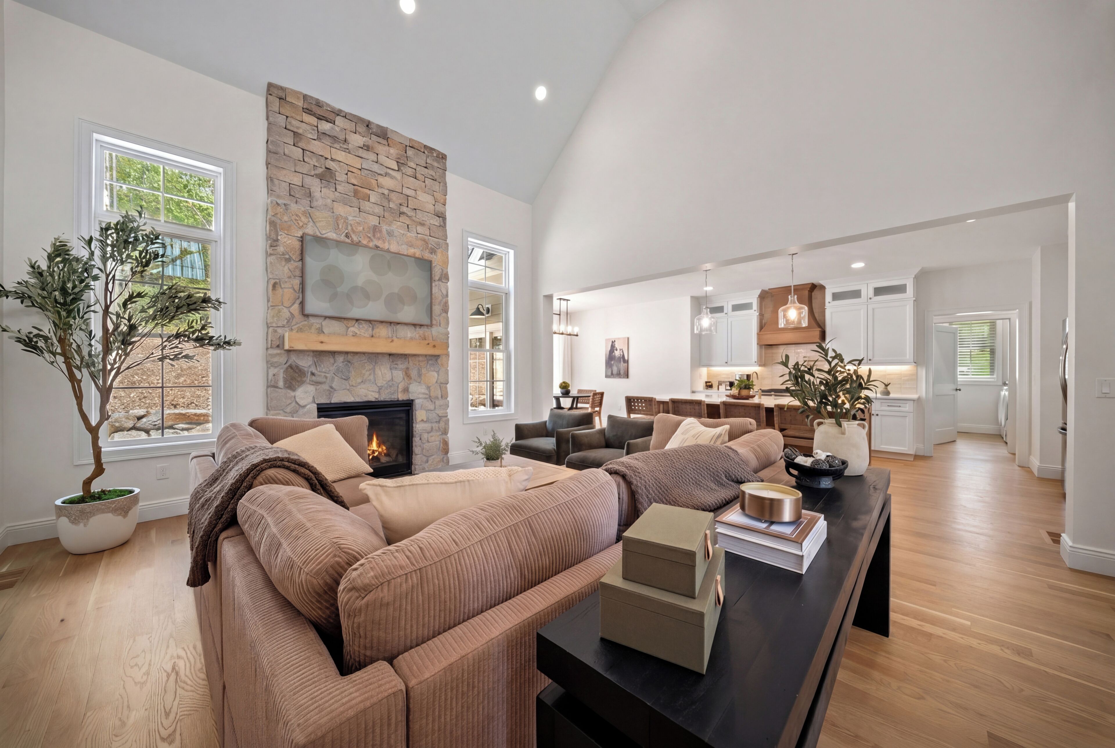 Smart TV, fireplace