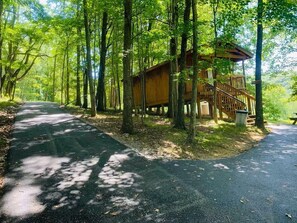 Property grounds - The Fox Den: A Peaceful Escape Along Back of the Dragon (Tazewell)