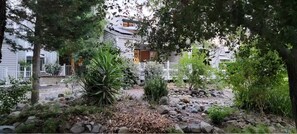 Ein Garten mit Steinen, Pflanzen und einem Gebäude mit weißer Fassade und brauner Tür.