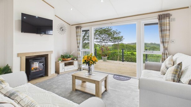 A living room with a fireplace, sofa, TV, and a view of greenery outside. - Kittiwake Lodge - 2 Bed Lodge - Wisemans Bridge (Kilgetty)