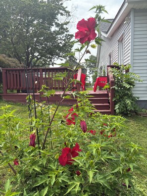 Ein Garten mit roten Blumen und einer Holzterrasse.