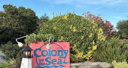 Oceanside Condo @Tranquil Tide-NEW for 2026 &INTRO PRICING! 100% updated, clean.