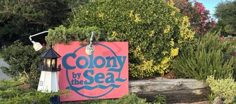 Oceanside Condo @Tranquil Tide-NEW for 2026 &INTRO PRICING! 100% updated, clean.
