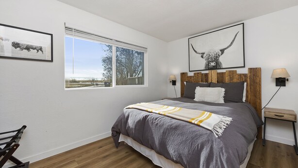 Une chambre à coucher avec un lit, une fenêtre, un tableau encadré représentant un taureau et une table de chevet avec une lampe.