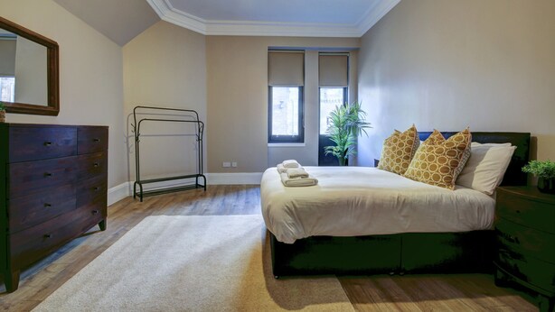 A bedroom with a bed, dresser, mirror, radiator, windows, and a plant.