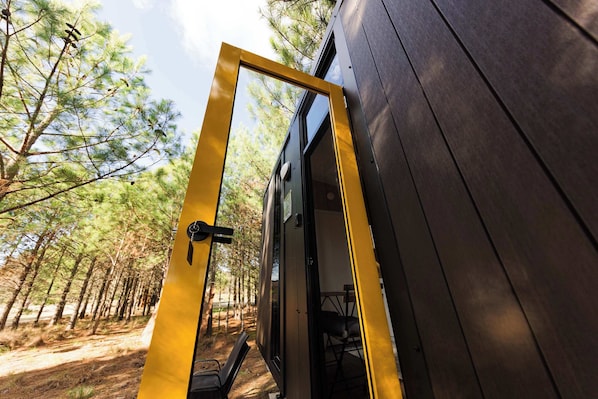 A wooden door with a yellow frame leading to an outdoor area with trees.