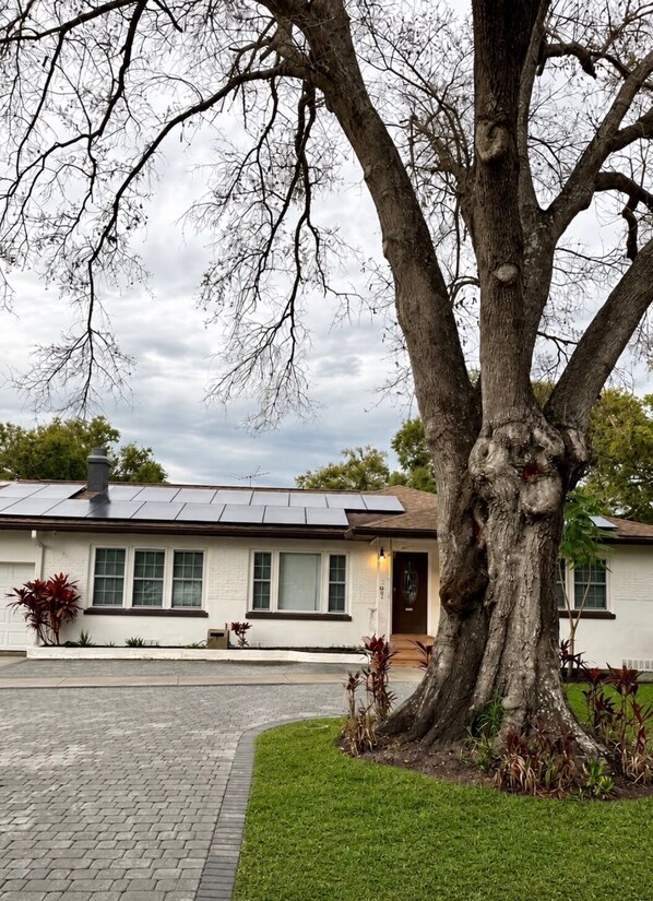 Exterior - Vrbo Property (Tampa)