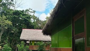 A traditional thatched-roof structure with a green exterior wall and a wooden deck.
