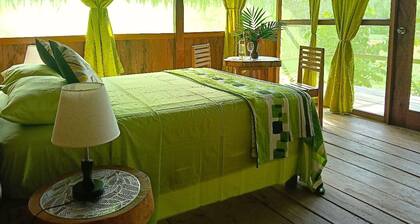 Bungalow in the Peruvian Amazon, for daily expeditions (flora, fauna).