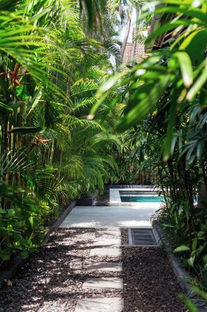 Ein Weg führt zu einem Pool, der von üppiger Vegetation umgeben ist.
