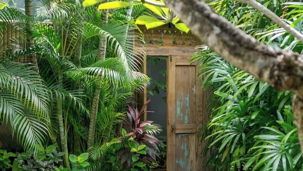 A garden pathway leading to a wooden door, surrounded by lush greenery.