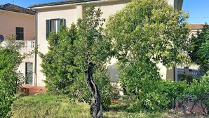 En bostadsbyggnad med ett tak täckt av tegelpannor, en skorsten och ett träd i förgrunden.