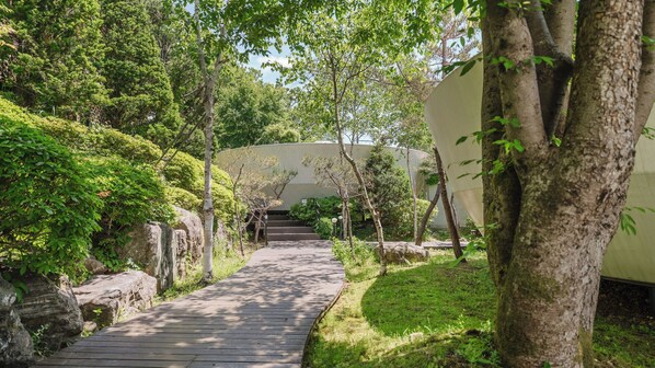 A wooden pathway leading to a building with a dome-like structure, surrounded by lush greenery and trees. - Gapyeong Pine4rest Glamping (Gapyeong)