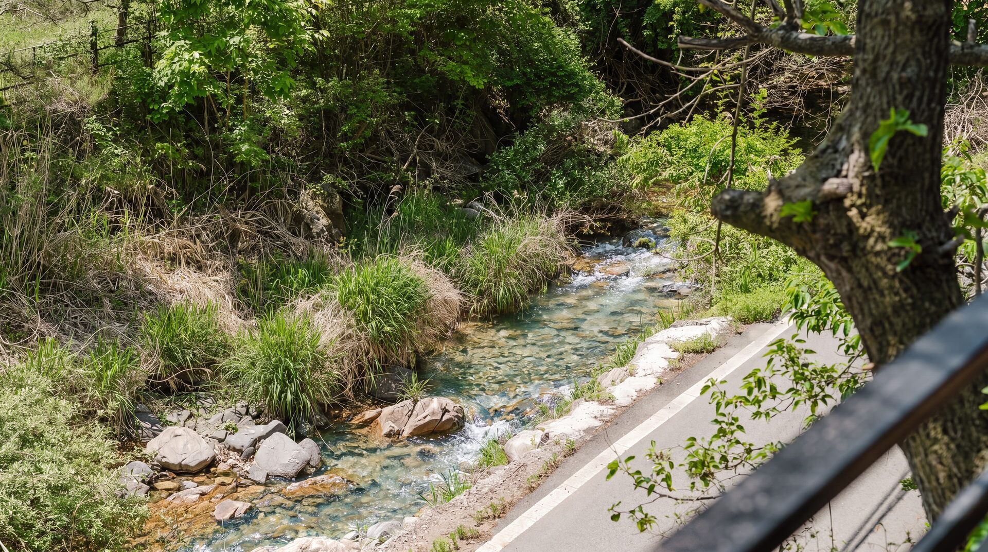 Un ruisseau aux eaux claires, bordé de rochers et de végétation, longe un chemin pavé.