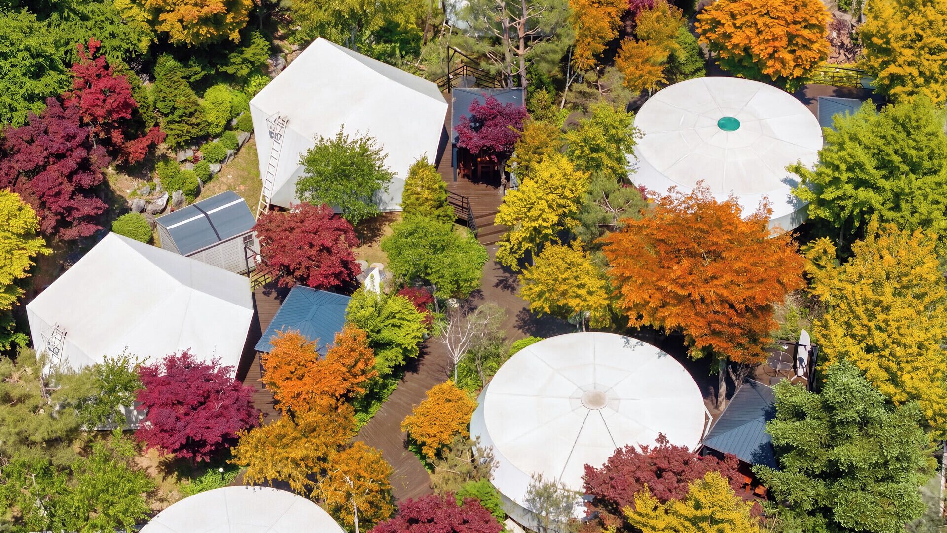 Vue aérienne d’un quartier résidentiel avec plusieurs structures cylindriques blanches, vraisemblablement des réservoirs d’eau, entourées d’arbres aux feuilles d’automne.