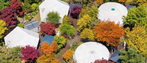 Vue aérienne d’un quartier résidentiel avec plusieurs structures cylindriques blanches, vraisemblablement des réservoirs d’eau, entourées d’arbres aux feuilles d’automne.