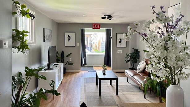 Un salon moderne avec un téléviseur à écran plat, un canapé, une table basse et diverses plantes.