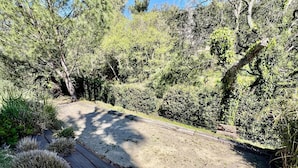 A paved pathway in a landscaped area with dense greenery and trees. - MAGNIFICENT VILLA WITH SWIMMING POOL AND SEA VIEW FOR 8 GUESTS (GRIMAUD)