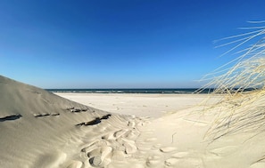 A sandy beach with footprints and sparse vegetation. - Gorgeous home in Slajszewo with WiFi (Slajszewo)