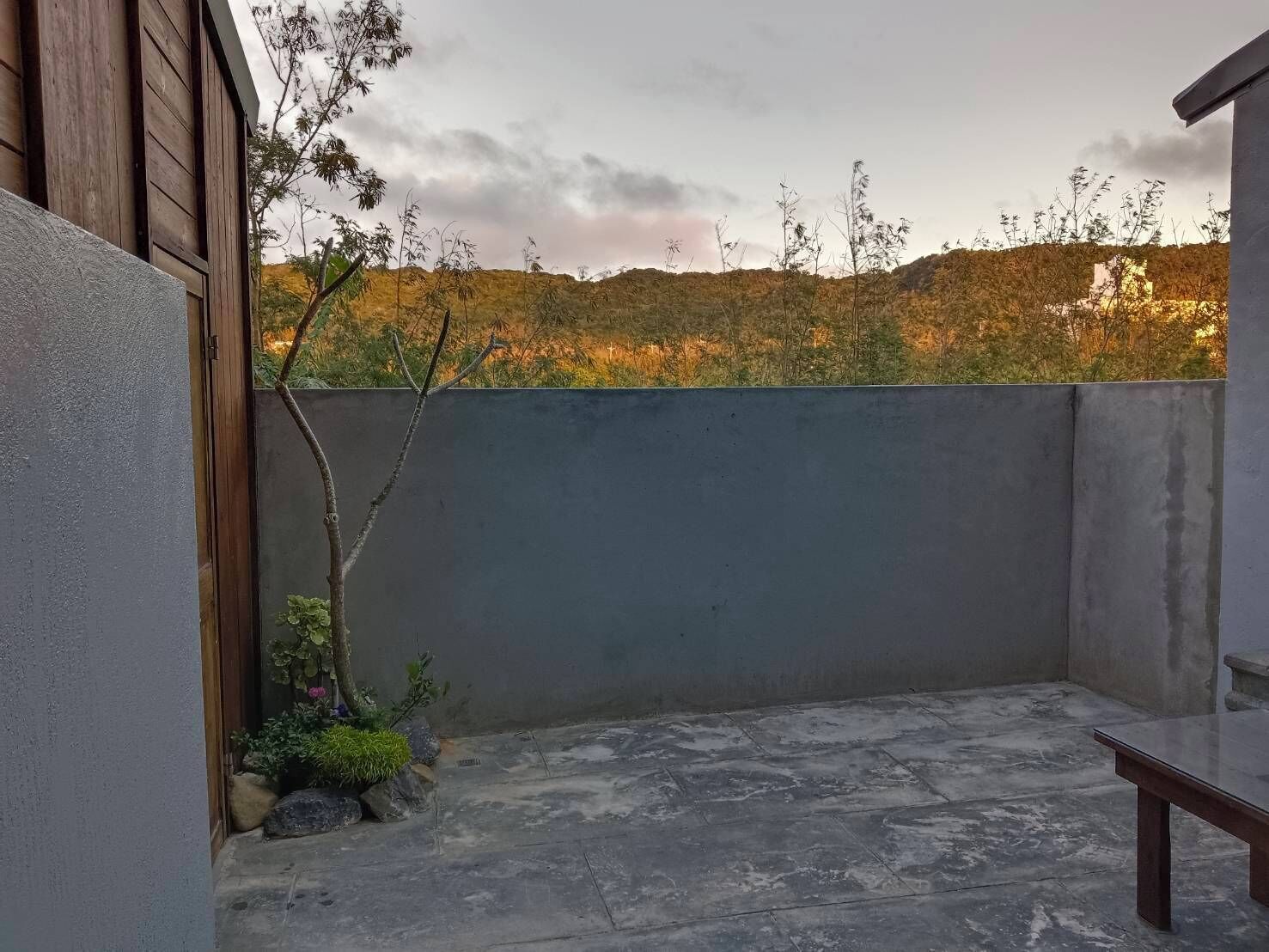 Standard House | Terrace/patio
