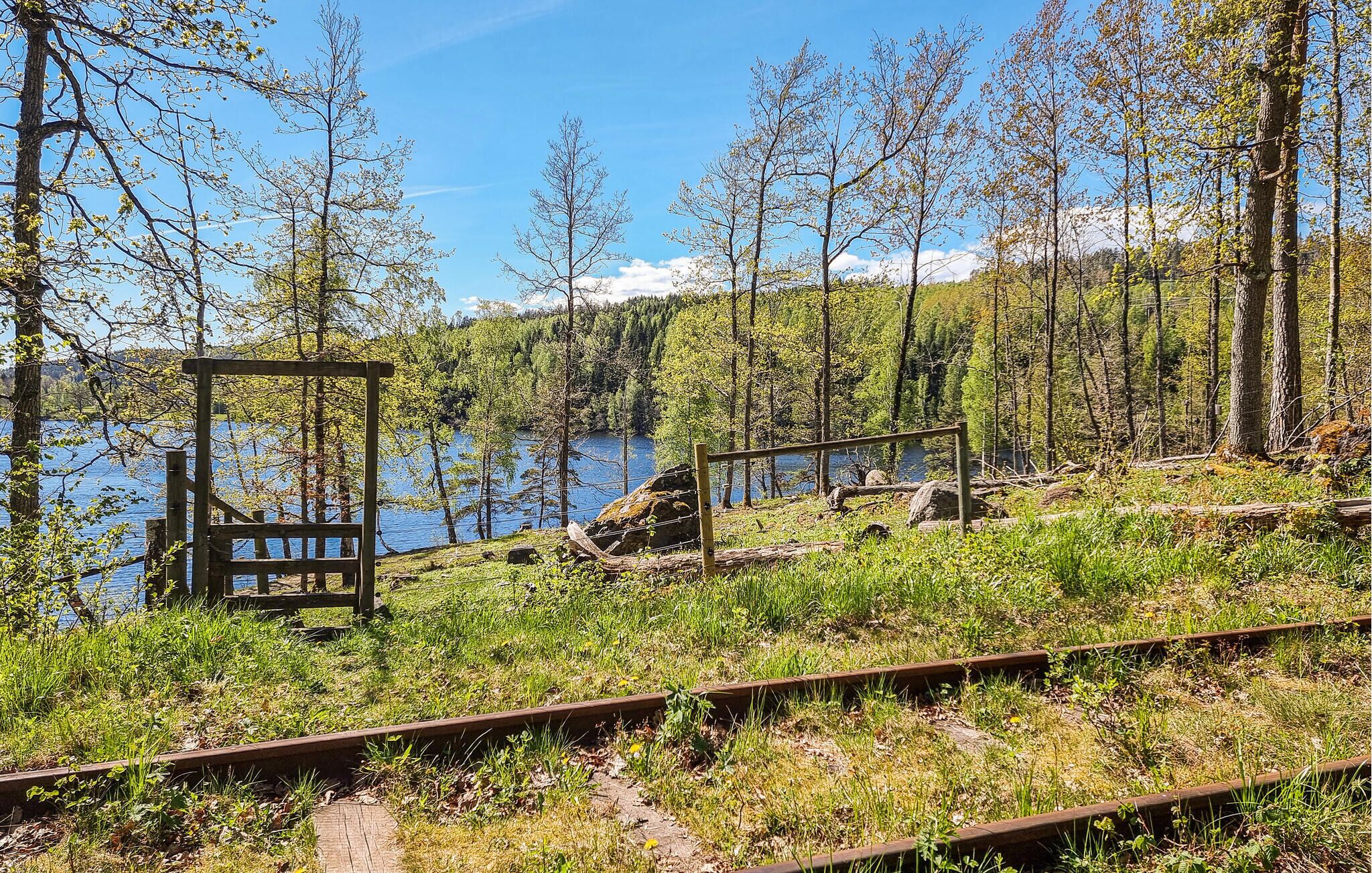 Eine natürliche Landschaft mit einer Holzanlage in der Nähe eines Gewässers, umgeben von Bäumen und Vegetation.