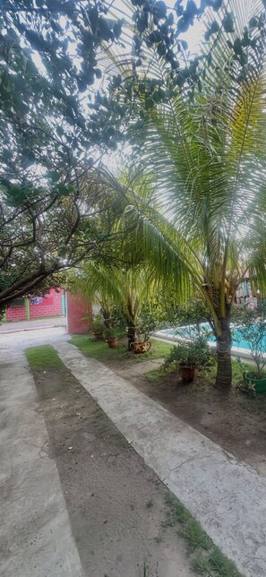 Área da propriedade