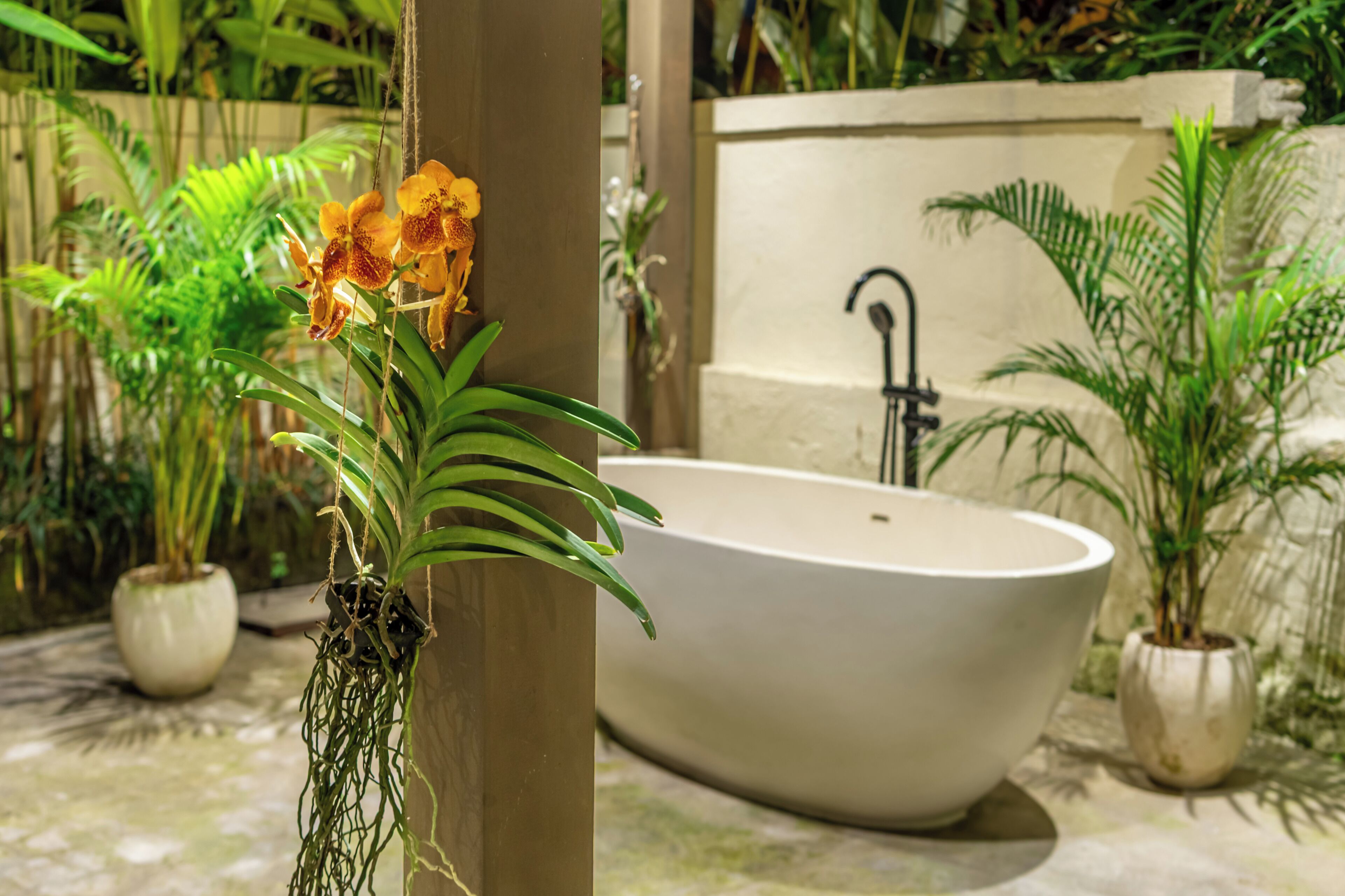 Un baño con una bañera independiente, un lavamanos y varias plantas en macetas.