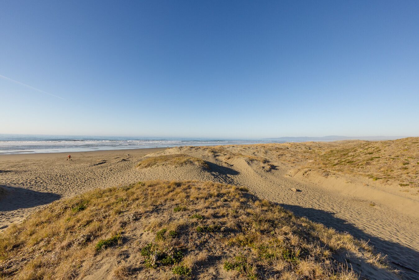 A beach with dunes and a clear view of the ocean.