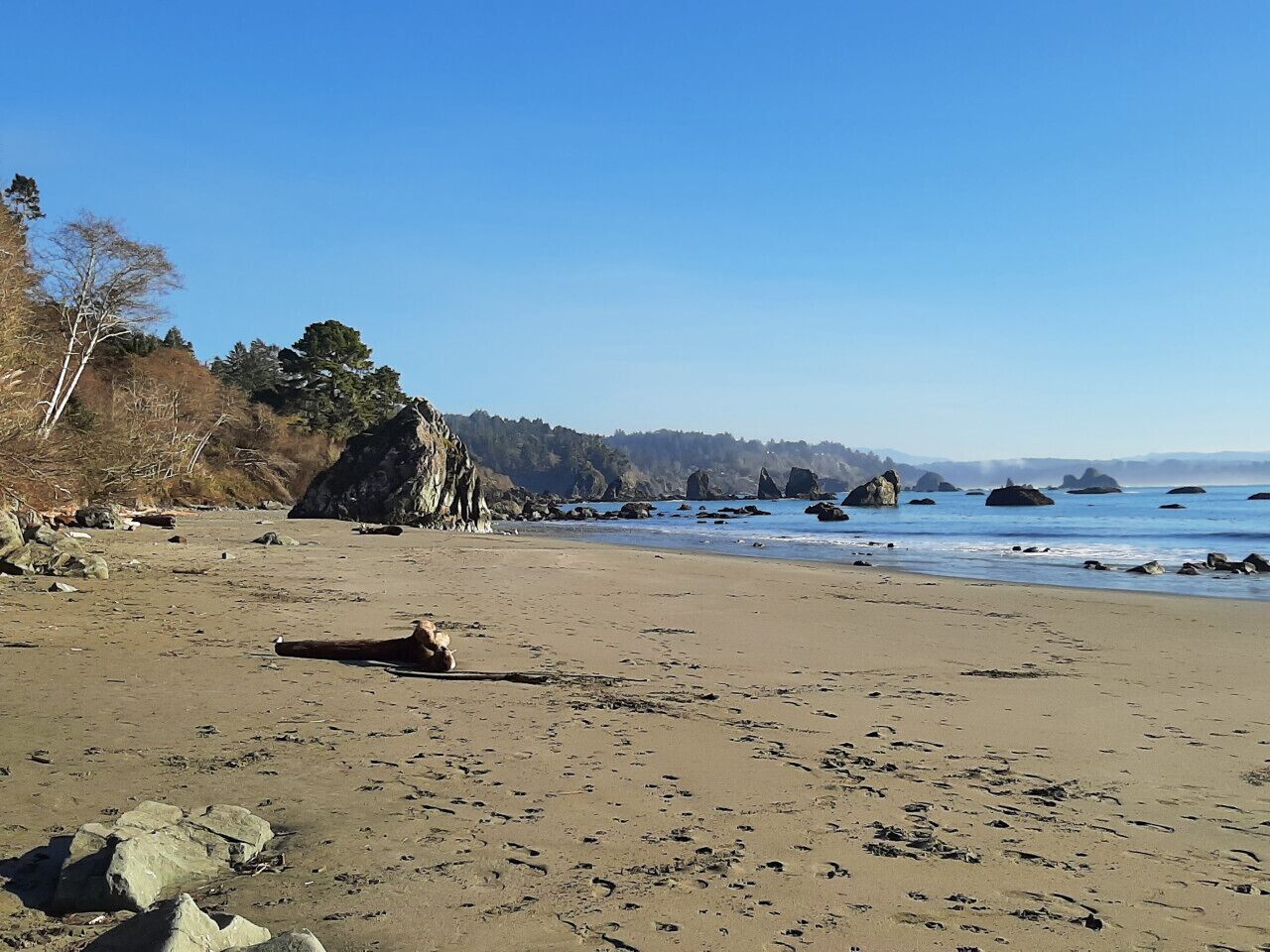 Strand