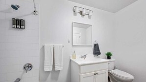 Een moderne badkamer met een witte wastafel, spiegel en toilet, en een douche met een handdouche.