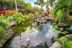 A garden with a pond, rocks, and various tropical plants.