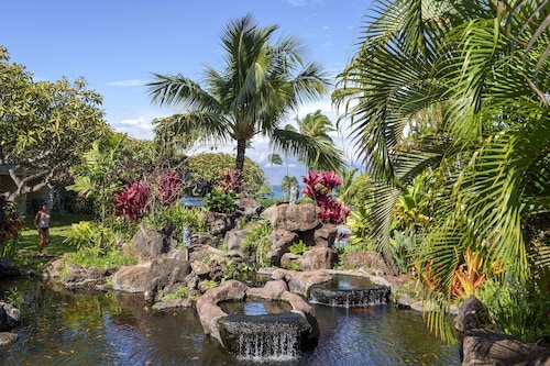 Napili Shores D-232 - Upper Level Renovated Studio at Koi Pond, Wi-Fi & Split AC