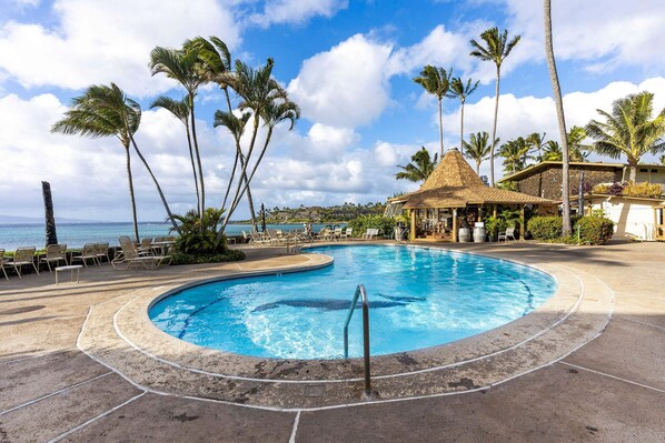 A resort pool with a circular design, surrounded by lounge chairs and palm trees, with a view of the ocean.