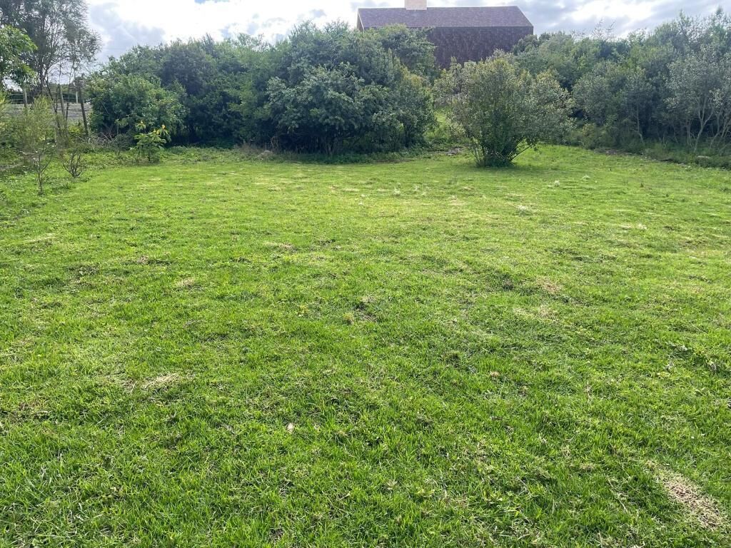 A grassy field with dense shrubbery and a building in the background.