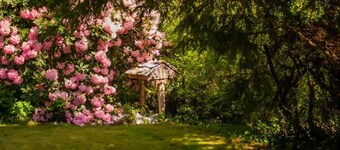 Tower House | West Coast Forest Escape