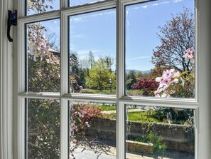 Ein Fenster mit Blick auf einen Garten und Bäume.