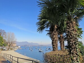 Marina costeira com barcos, uma palmeira e céu azul límpido.